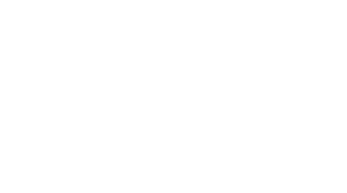 Coach-Mentor Training logo